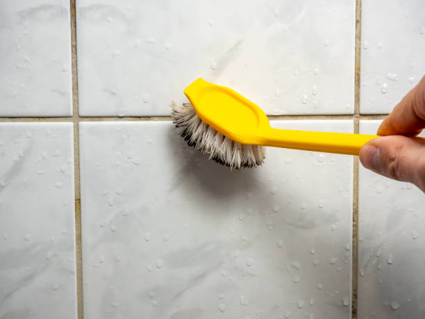 Best Affordable Mold Removal  in Scaggsville, MD