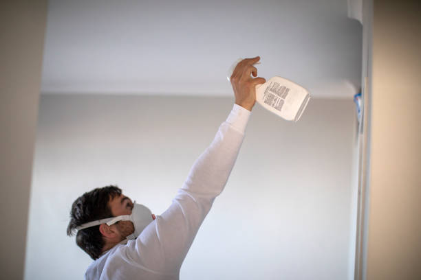 Best Crawl Space Mold Removal  in Scaggsville, MD