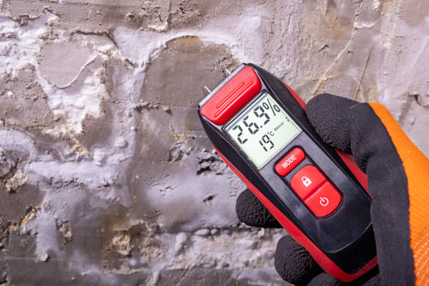 Best Mold Testing  in Scaggsville, MD