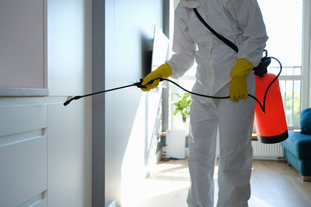 Best Toxic Mold Removal  in Scaggsville, MD