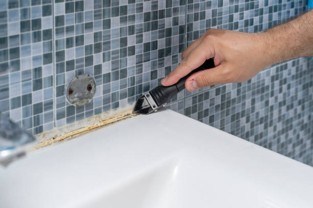 Home Mold Removal in Scaggsville, MD
