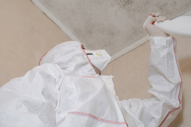 Best Home Mold Removal  in Scaggsville, MD